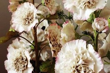 Đẹp ngỡ ngàng hoa sứ giống như thật