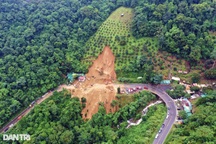 Sạt lở đèo Bảo Lộc: Trồng sầu riêng trên đất rừng có trách nhiệm địa phương