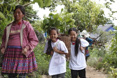 Gieo mầm xanh tại nơi từng là điểm nóng về ma túy