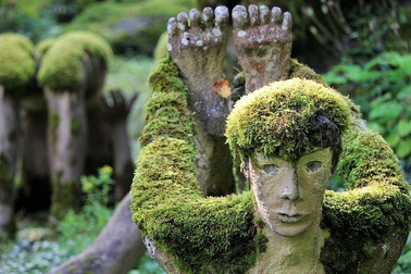 Khu rừng ma mị khiến ai bước vào cũng rợn tóc gáy