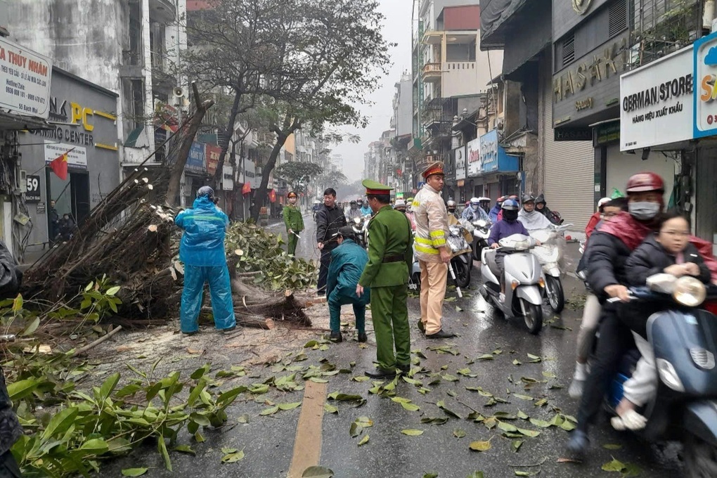 Hà Nội: Cây đa cổ thụ đổ chắn ngang phố Bạch Mai giờ cao điểm - 3 Hà Nội: Cây đa cổ thụ đổ chắn ngang phố Bạch Mai giờ cao điểm - 3