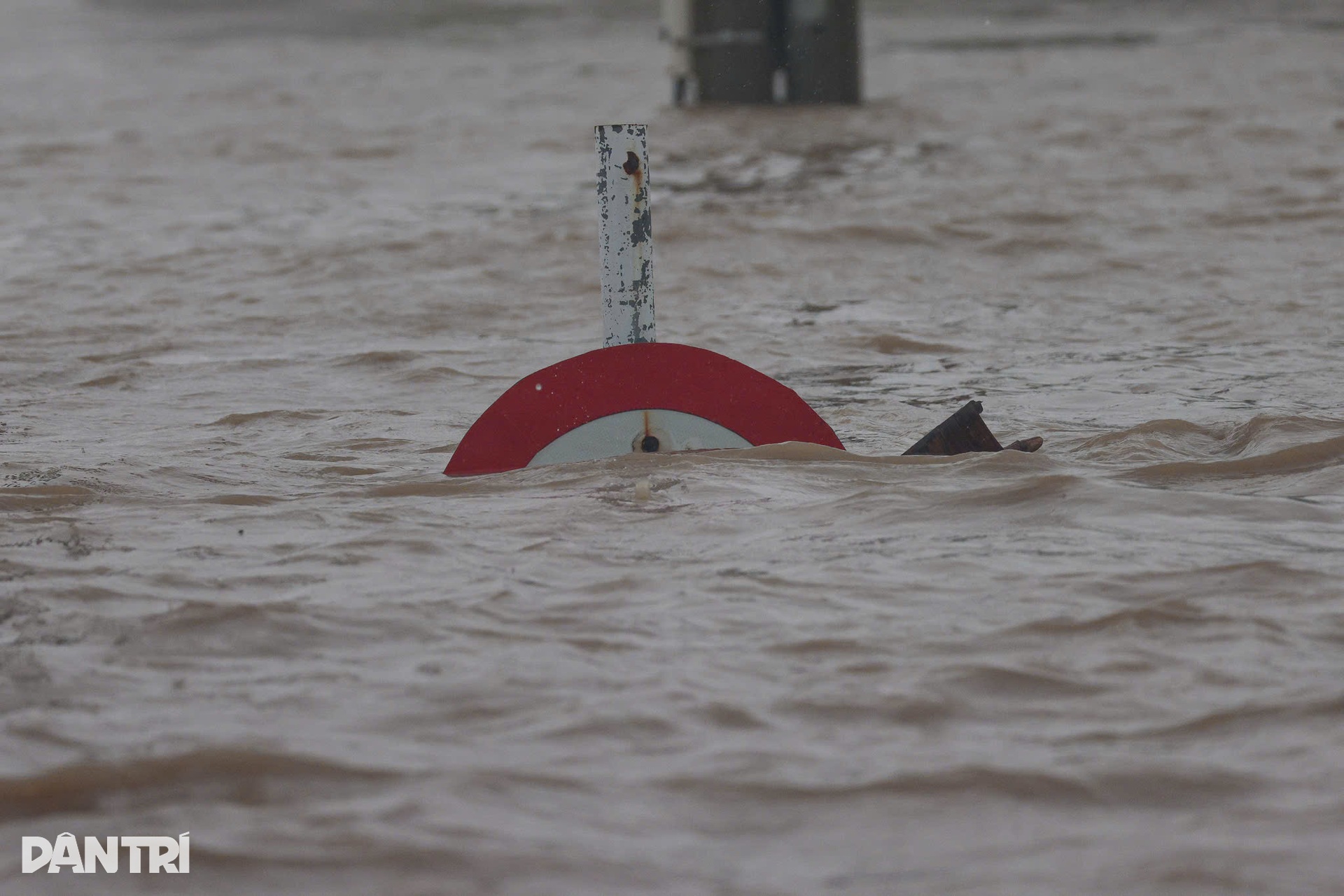 Những ánh mắt hoảng loạn trong dòng lũ vây vùng Phú Yên - 16