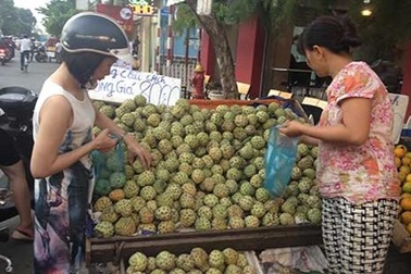 Để đặc sản không chất đống vỉa hè, rẻ như cho