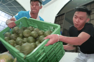 Trắng đêm vận chuyển hàng tấn cam sành "giải cứu" cho nhà vườn miền Tây