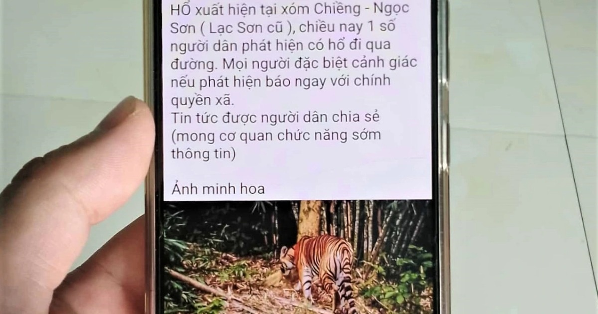 Công an xác minh thông tin hổ xuất hiện ở Phú Thọ