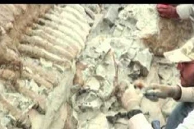 Mexico là vùng đất của các loài khủng long?