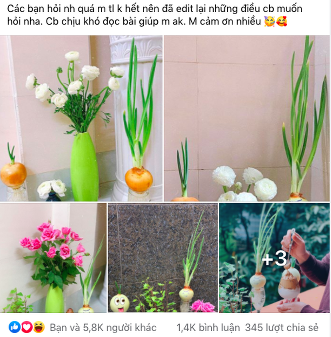 Cô gái trẻ chia sẻ cách trồng hành tây "mọc tóc, mọc râu" cực đáng yêu, ngó xuống bình luận của dân mạng càng thấy bất ngờ hơn - Ảnh 1. Cô gái trẻ chia sẻ cách trồng hành tây "mọc tóc, mọc râu" cực đáng yêu, ngó xuống bình luận của dân mạng càng thấy bất ngờ hơn - Ảnh 1.