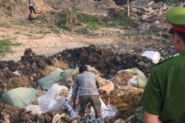 Tiêu hủy gần 2 tấn nguyên liệu thuốc bắc không rõ nguồn gốc xuất xứ