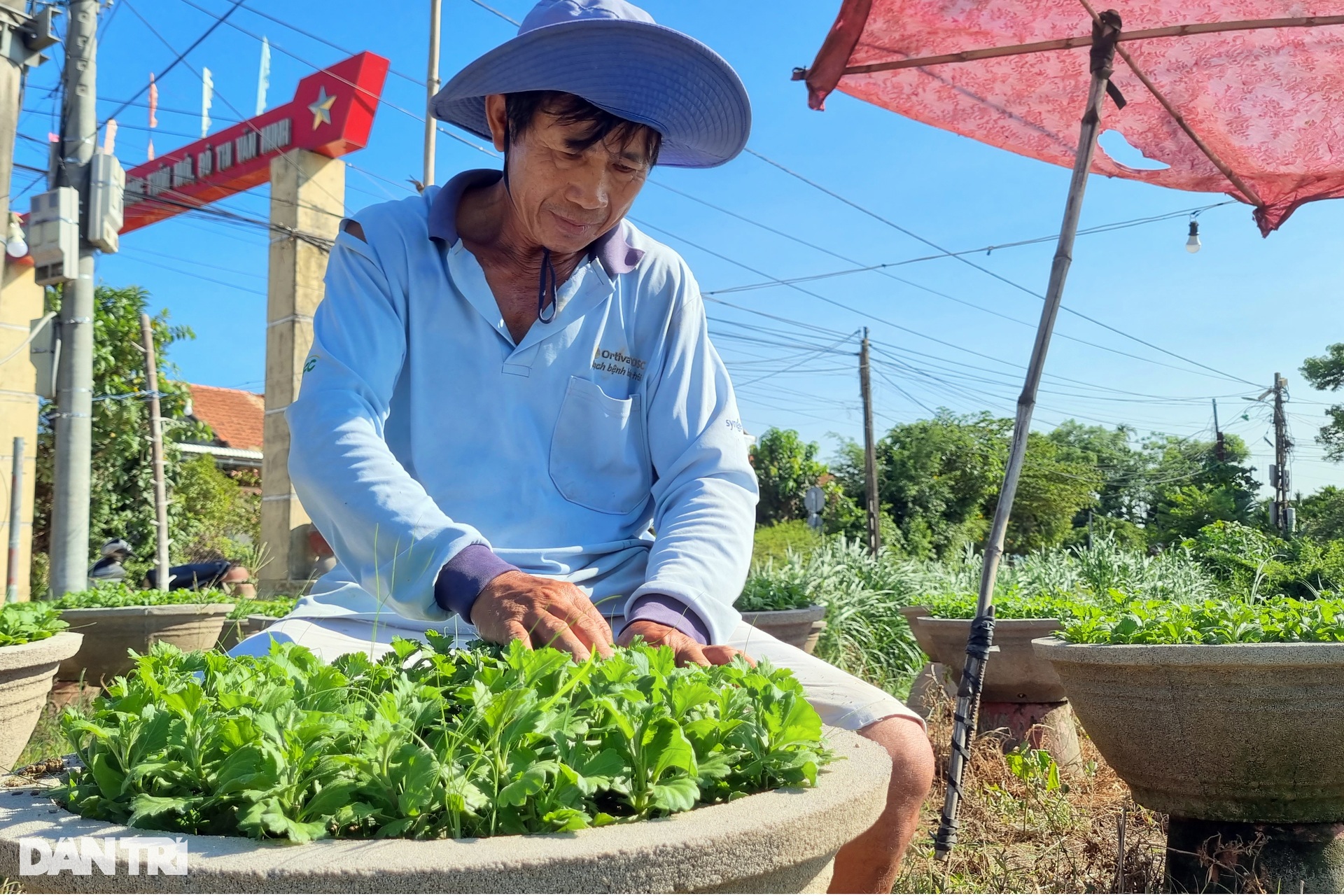 Những người gom nắng khơi màu, gọi Tết - 7 Những người gom nắng khơi màu, gọi Tết - 7