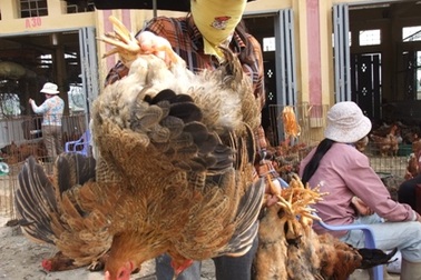 Hàng loạt thực phẩm trên thị trường nhiễm hóa chất, kháng sinh nặng