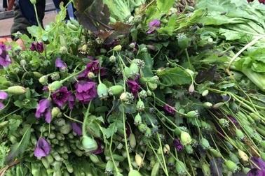 Con rao bán cây thuốc phiện trên Facebook, bố bị "tóm" đang "ship" hàng