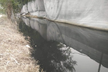 Dân ở xã nông thôn mới “ngộp thở” vì mùi nồng nặc từ các trang trại