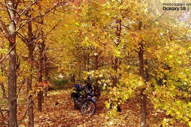 Hành trình 150 ngày chinh phục châu Âu