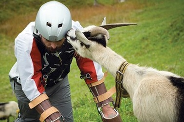 Ig Nobel 2016: Mặc quần cho chuột, biến mình thành dê