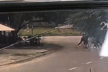 Vụ tạt xăng đánh ghen: Mẹ chồng và con dâu bị khởi tố tội giết người