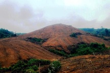 Tỉnh Quảng Trị "tuýt còi" khẩn tình trạng đưa máy móc san ủi, lấn chiếm đất rừng!