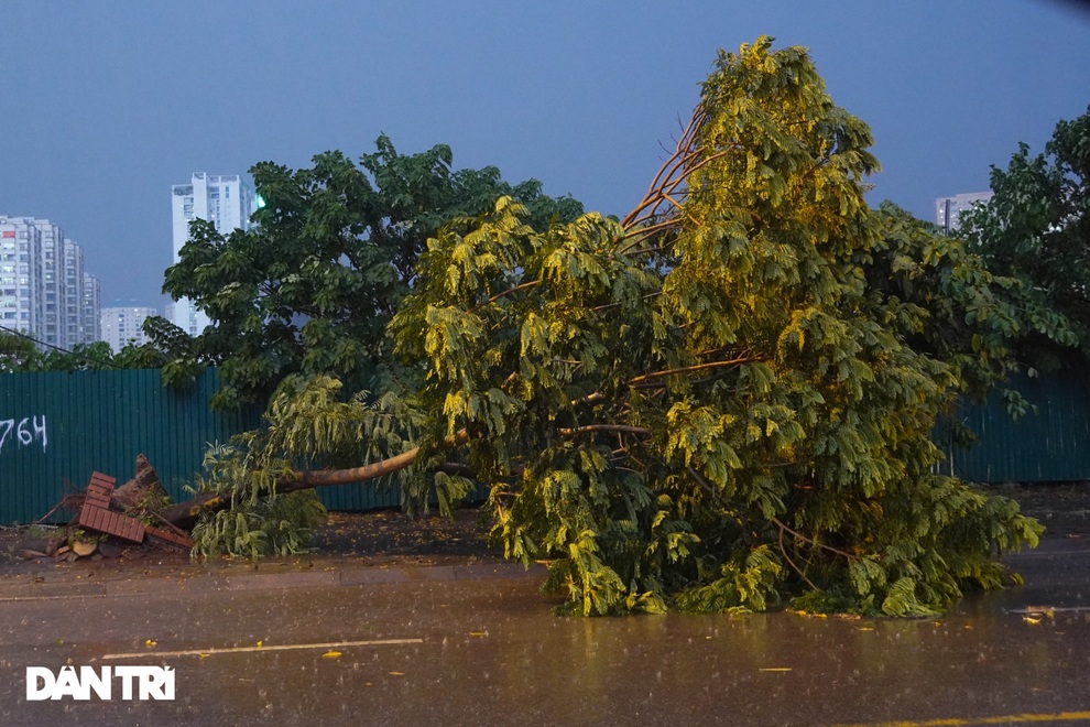 Cơn mưa lớn giải nhiệt nắng nóng ở Hà Nội khiến nhiều cây gẫy đổ, ngập úng - 4 Cơn mưa lớn giải nhiệt nắng nóng ở Hà Nội khiến nhiều cây gẫy đổ, ngập úng - 4