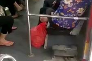 Đình chỉ nhân viên xe buýt cãi nhau với ông lão vì 5.000 đồng