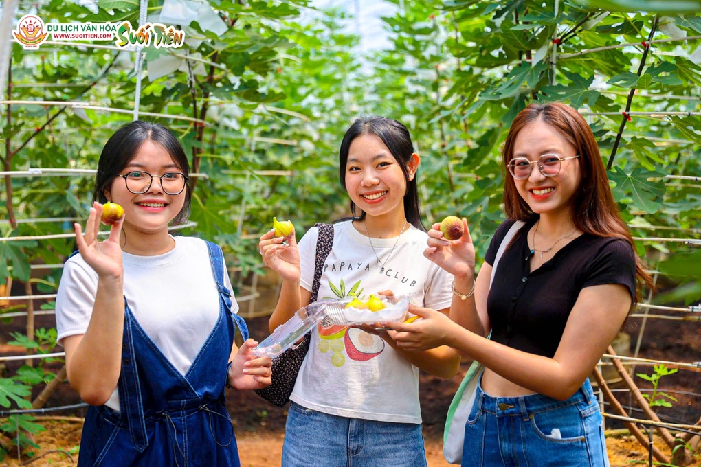 Vui chơi Suối Tiên dịp lễ 30/4-1/5: Tắm biển Tiên Đồng, khám phá vườn nho - 3 Vui chơi Suối Tiên dịp lễ 30/4-1/5: Tắm biển Tiên Đồng, khám phá vườn nho - 3