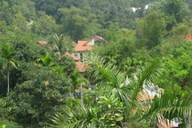 Đại gia vàng phải tháo dỡ biệt phủ trăm tỷ đúng hạn!