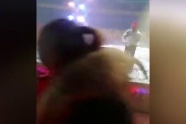 Ngựa trong gánh xiếc cùng lúc bị hổ và sư tử tấn công