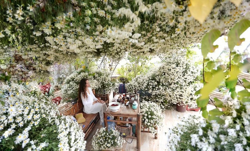 Vườn hoa khổng lồ trên sân thượng của người phụ nữ Hà Nội - 7