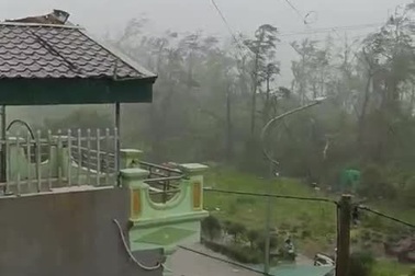 Siêu bão Yagi đổ bộ vào Cô Tô gây mưa lớn