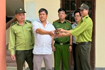 Bắt được rùa nghi quý hiếm, người dân giao nộp công an