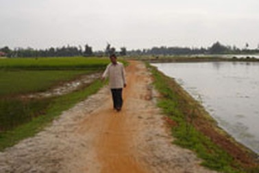 Ông lão “mồ côi” mở đường qua chốn sình lầy