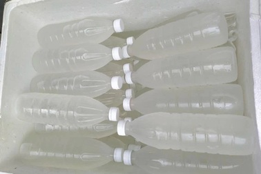 Thực hư về nước dừa tươi siêu rẻ, bán tràn lan 20.000 đồng/lít