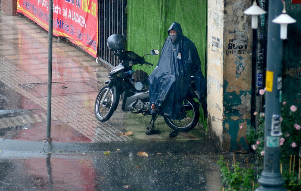 Sài Gòn đón mưa vàng.jpg Sài Gòn đón mưa vàng.jpg