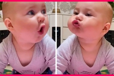 Bật cười với những "diễn viên hài" đáng yêu nhất quả đất