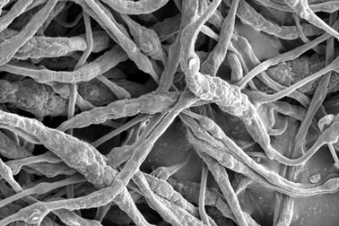 Phương thức mới đưa chất chống cháy vào trong pin lithium ion