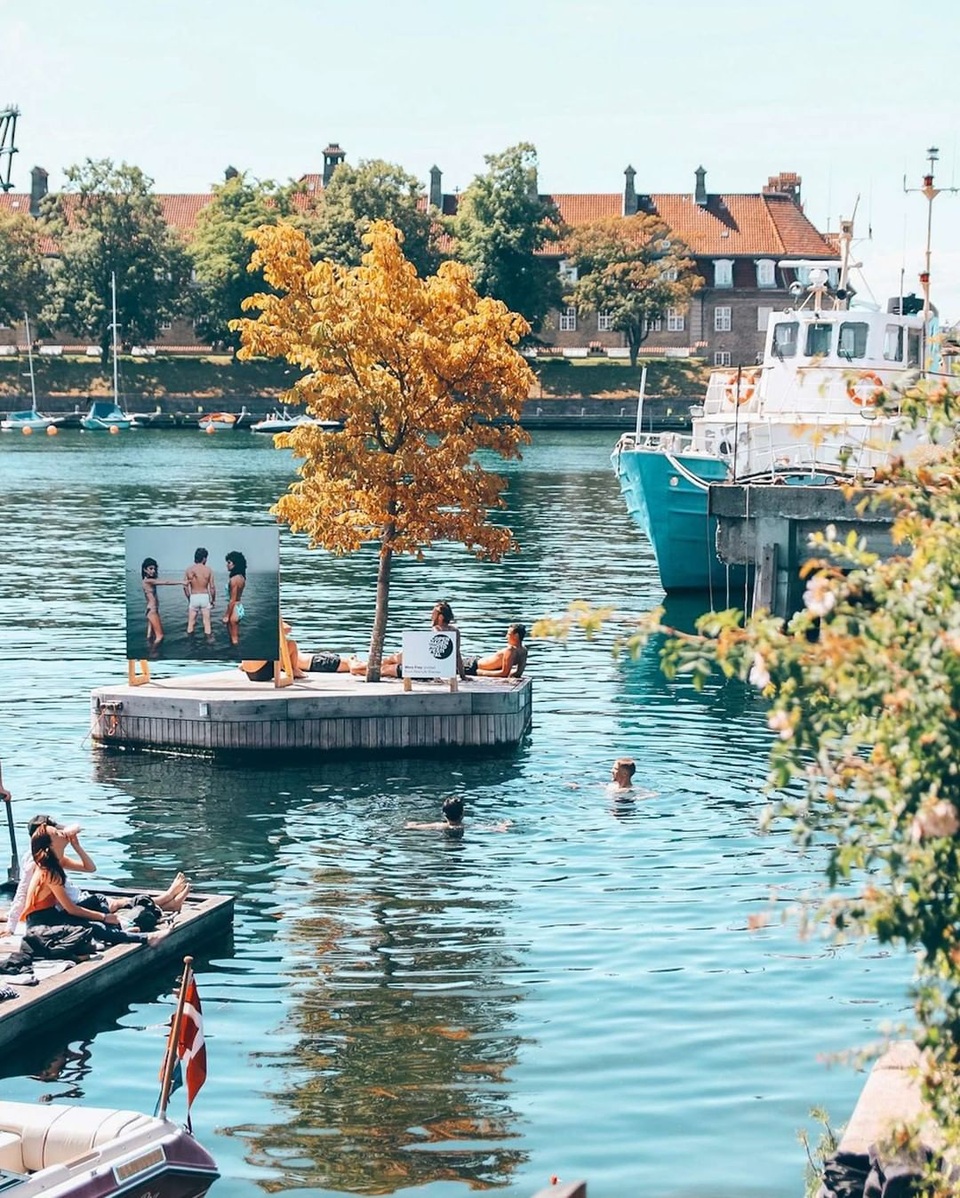 Công viên nổi ở Đan Mạch - nơi người dân chèo thuyền, bơi lội và làm nông - 5