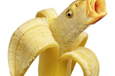 Khi động, thực vật… lai nhau 