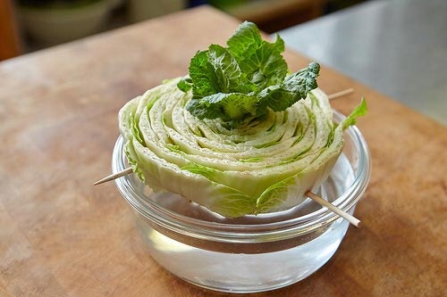 Cách trồng rau củ từ gốc bỏ đi, không cần bón phân cây vẫn lớn vùn vụt - 6 Cách trồng rau củ từ gốc bỏ đi, không cần bón phân cây vẫn lớn vùn vụt - 6