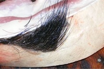 Đặc sản lợn nguyên lông giá gấp đôi ở Hà Nội