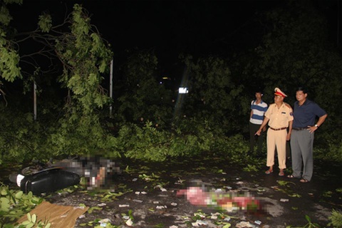 Hà Nội: Trắng đêm khắc phục sự cố mưa giông