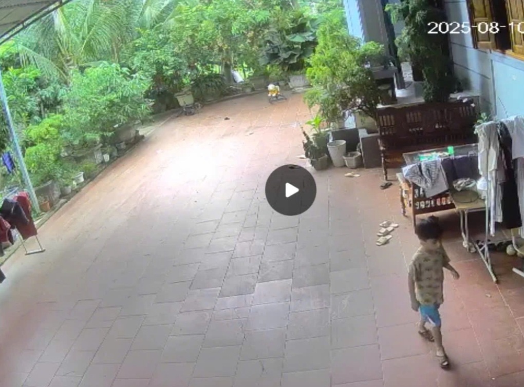 Bé trai 5 tuổi mất tích bí ẩn khi chơi ở sân nhà - 1