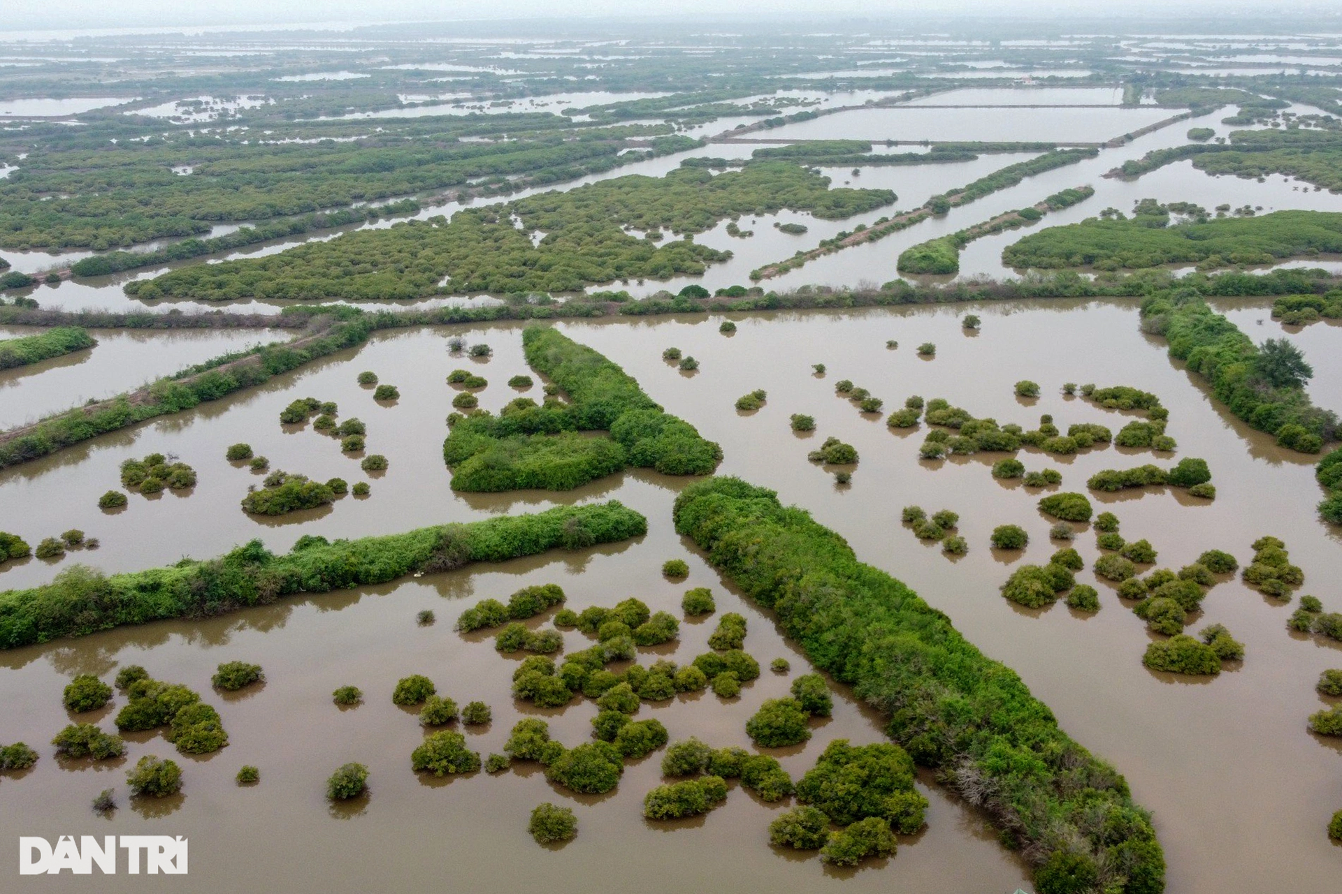 Ngắm khu bảo tồn thiên nhiên có thể bị thu hẹp để xây đô thị, sân golf - 1