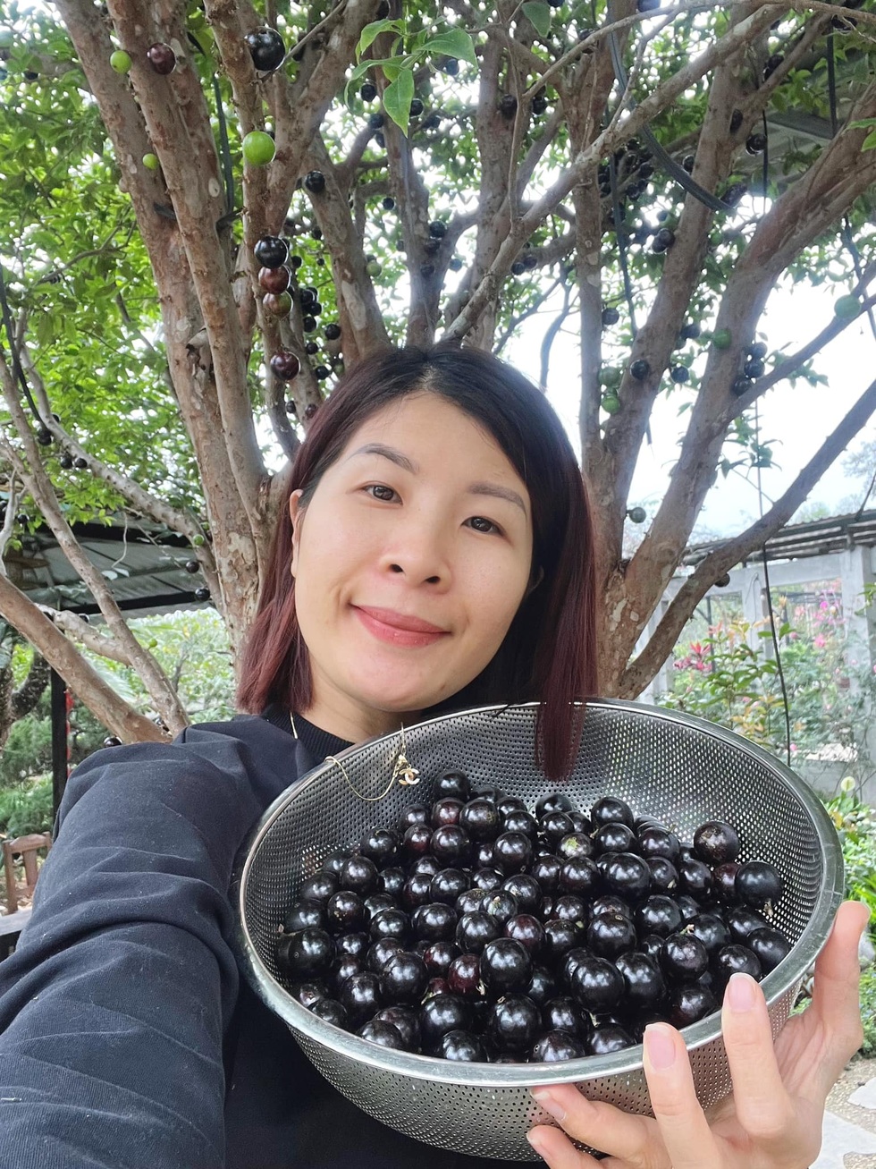 Trốn khói bụi, giám đốc ở Hà Nội về quê làm vườn 3.500m2 ngập hoa trái - 9