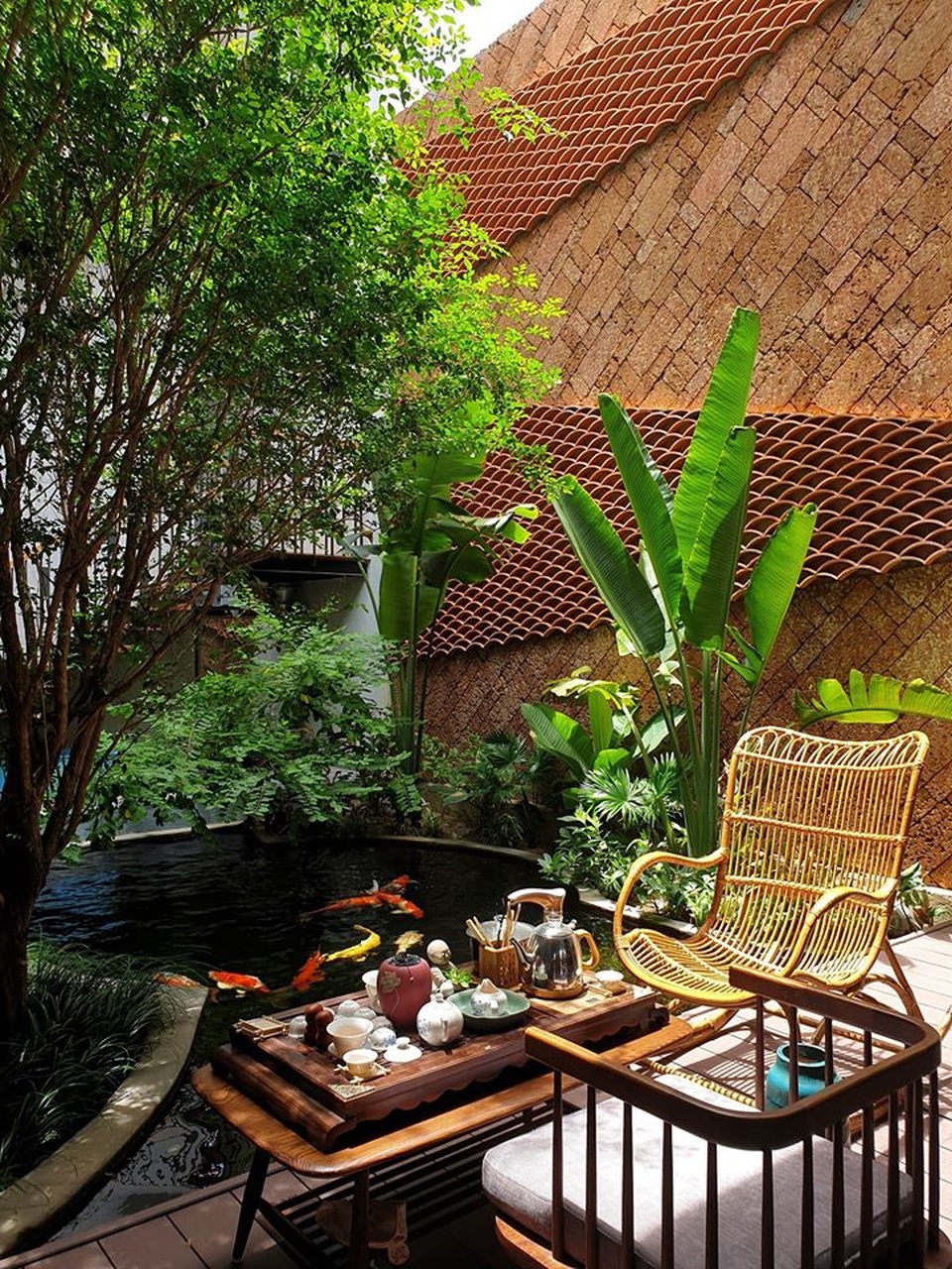 Gia đình trẻ ở Đà Nẵng làm vườn, nuôi cá trong biệt thự giữa phố - 3 Gia đình trẻ ở Đà Nẵng làm vườn, nuôi cá trong biệt thự giữa phố - 3