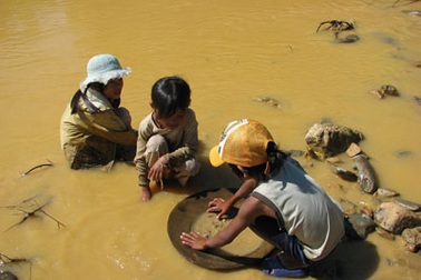 Những đứa trẻ đãi vàng trên sông A Vương