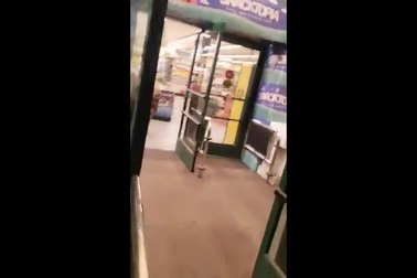 Gấu liều lĩnh mò vào cửa hàng trộm bim bim