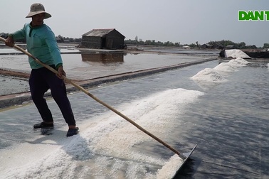 Giá muối tuột thê thảm, diêm dân gặp khó