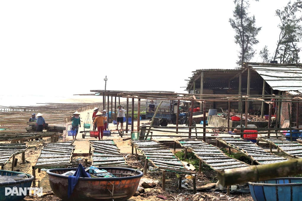 Mùa đỏ lửa tại làng hấp cá - 1