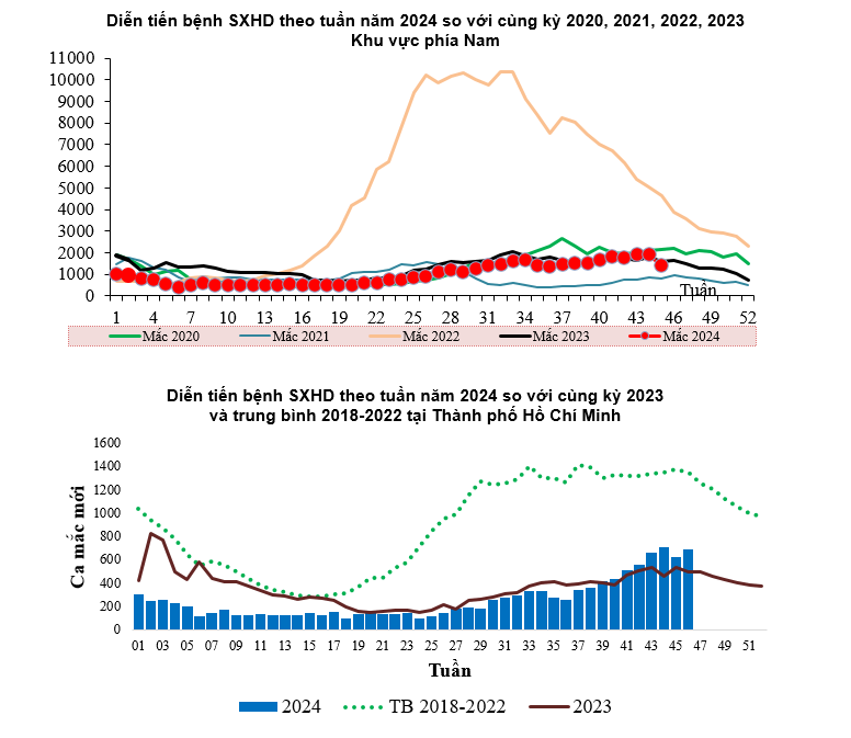 TPHCM tăng liên tục ca mắc sốt xuất huyết, đã có 1 trường hợp tử vong - 1
