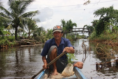 Thương binh vượt khó trên đất phèn, trồng rừng thu trăm triệu đồng