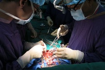 PGS.TS Nguyễn Hữu Ước chia sẻ về khó khăn ghép tim cho bệnh nhân nghèo