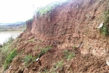 Sạt lở mạnh gần 100m đê ngay trước mùa mưa bão